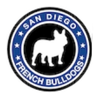 Local Business Frenchbulldogssandiego in San Diego CA
