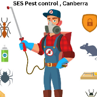 Local Business SES Pest control in Canberra 