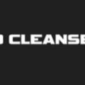 Local Business EcoCleanse | Car Detailing Columbia Sc in Columbia SC