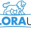 Local Business Allora USA in Dulles 