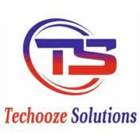 Local Business Techooze Solutions in delhi DL